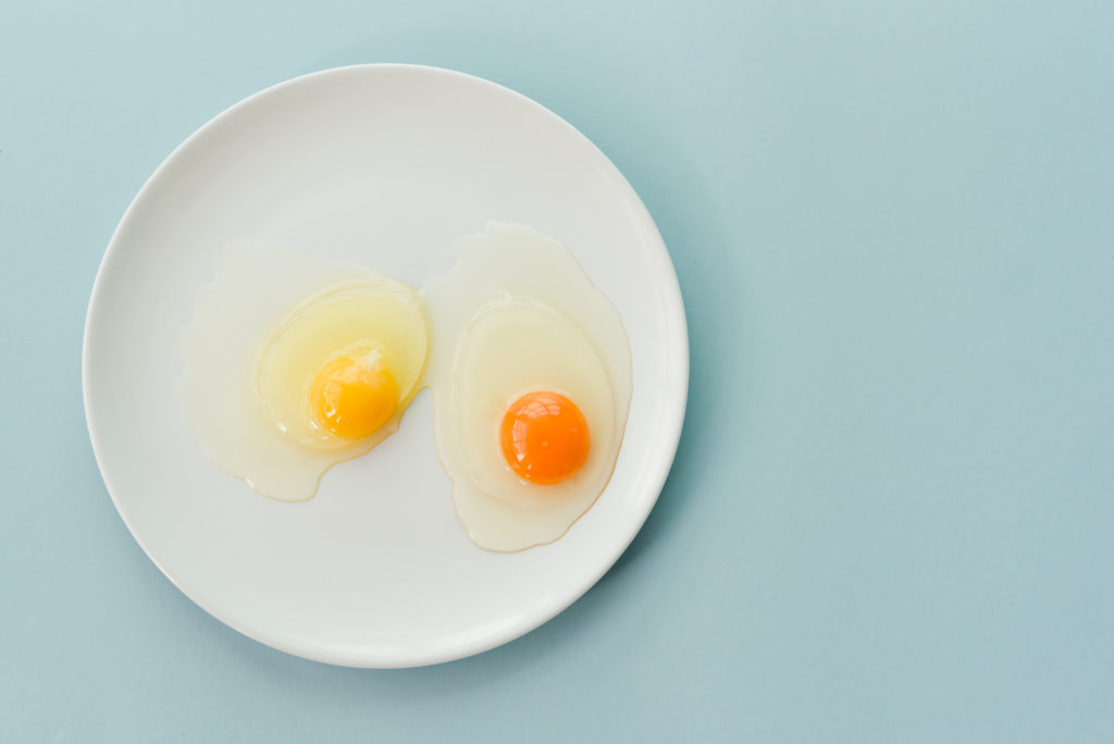 Competitor Commodity Egg vs. Happy Egg Co. Heritage Breed Blue Egg.